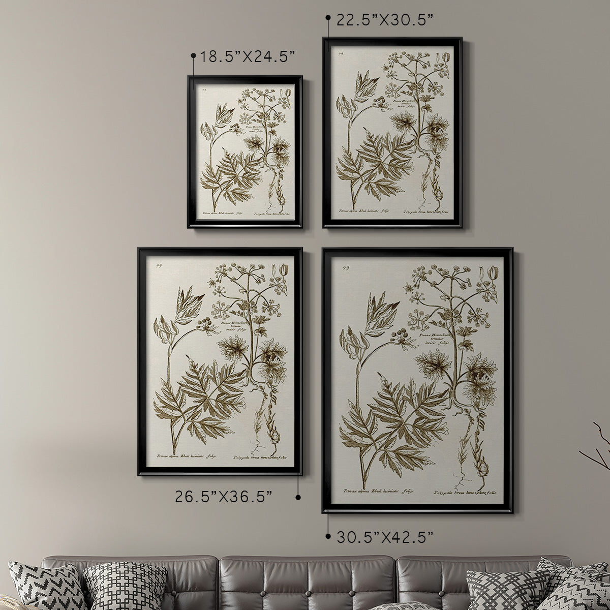 Sepia Botanical Journal III - Modern Framed Canvas Print