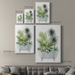 Plant Bath II Premium Gallery Wrapped Canvas - Ready to Hang