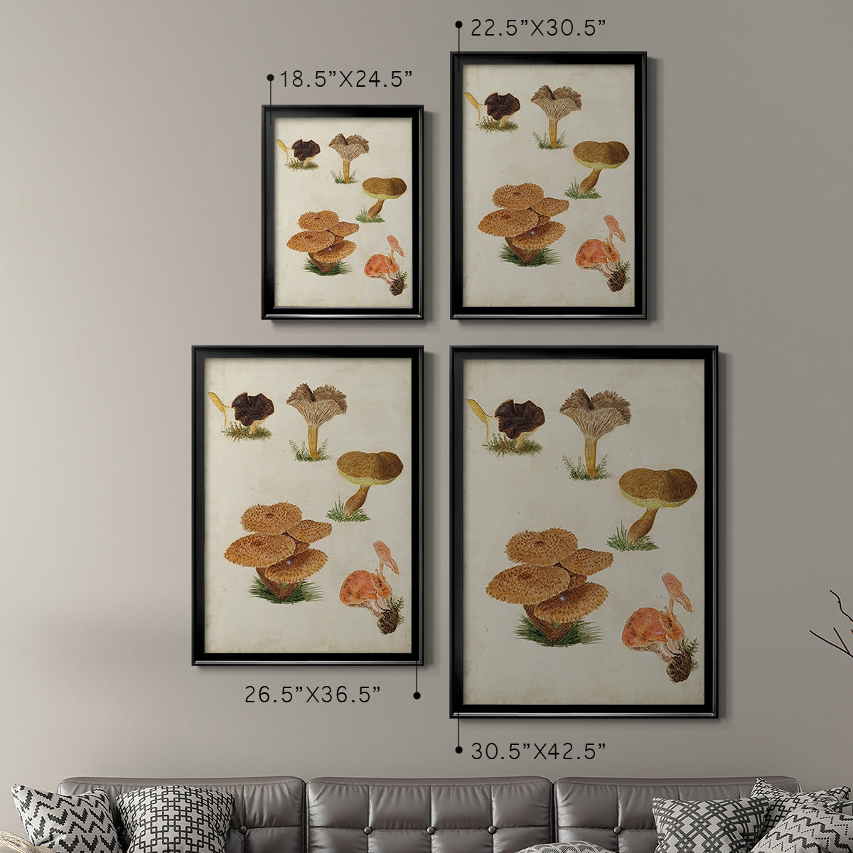 Mushroom Species V - Modern Framed Canvas Print