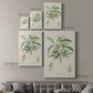 Antique Almond Botanical III Premium Gallery Wrapped Canvas - Ready to Hang