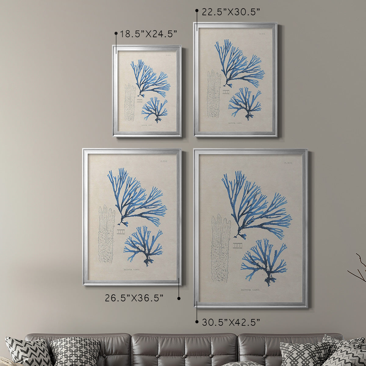 Blue Marine Algae V - Modern Framed Canvas Print