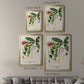 Imperial Tropical Botanical II - Modern Framed Canvas Print