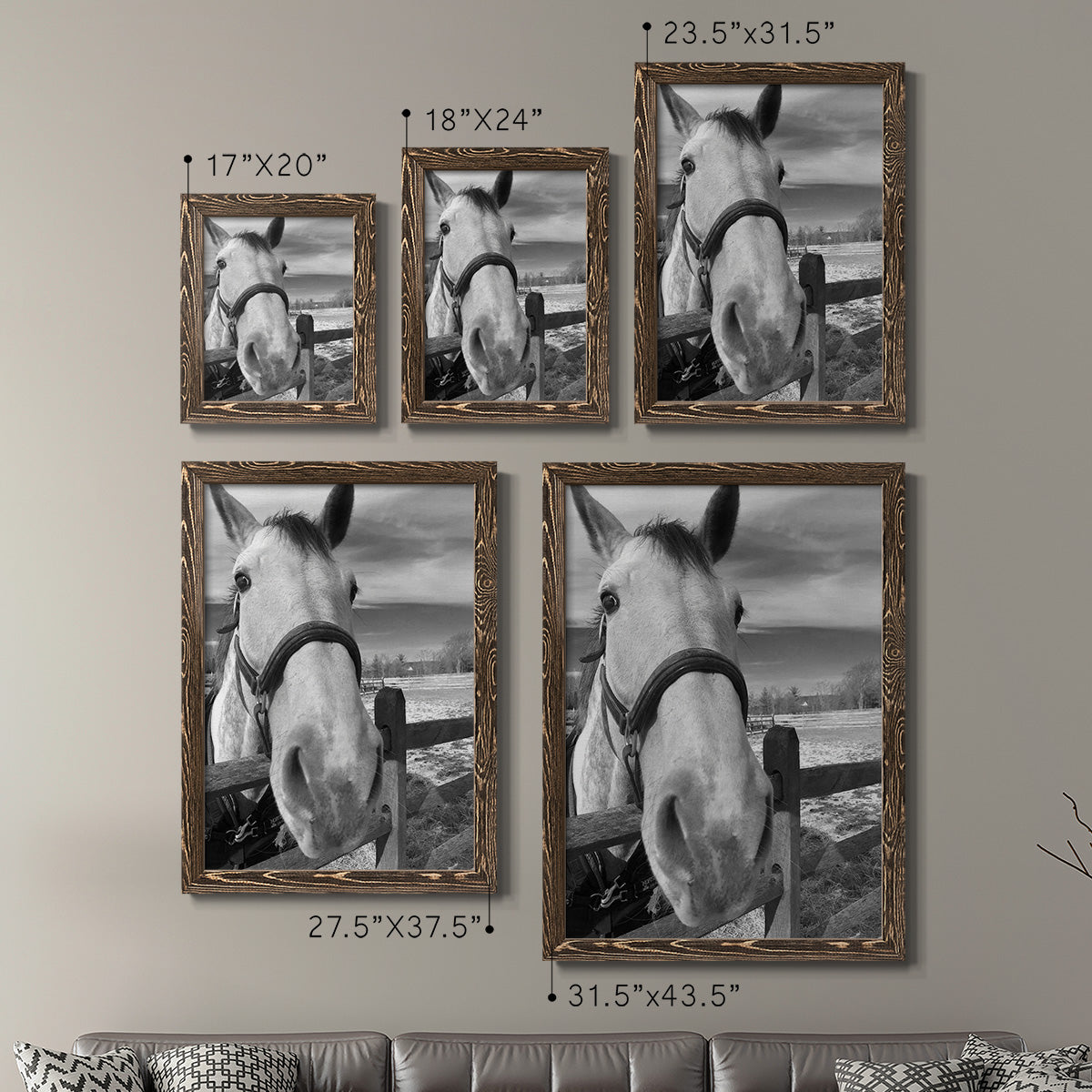 Size comparison chart for a set of two walnut barnwood framed canvas prints.