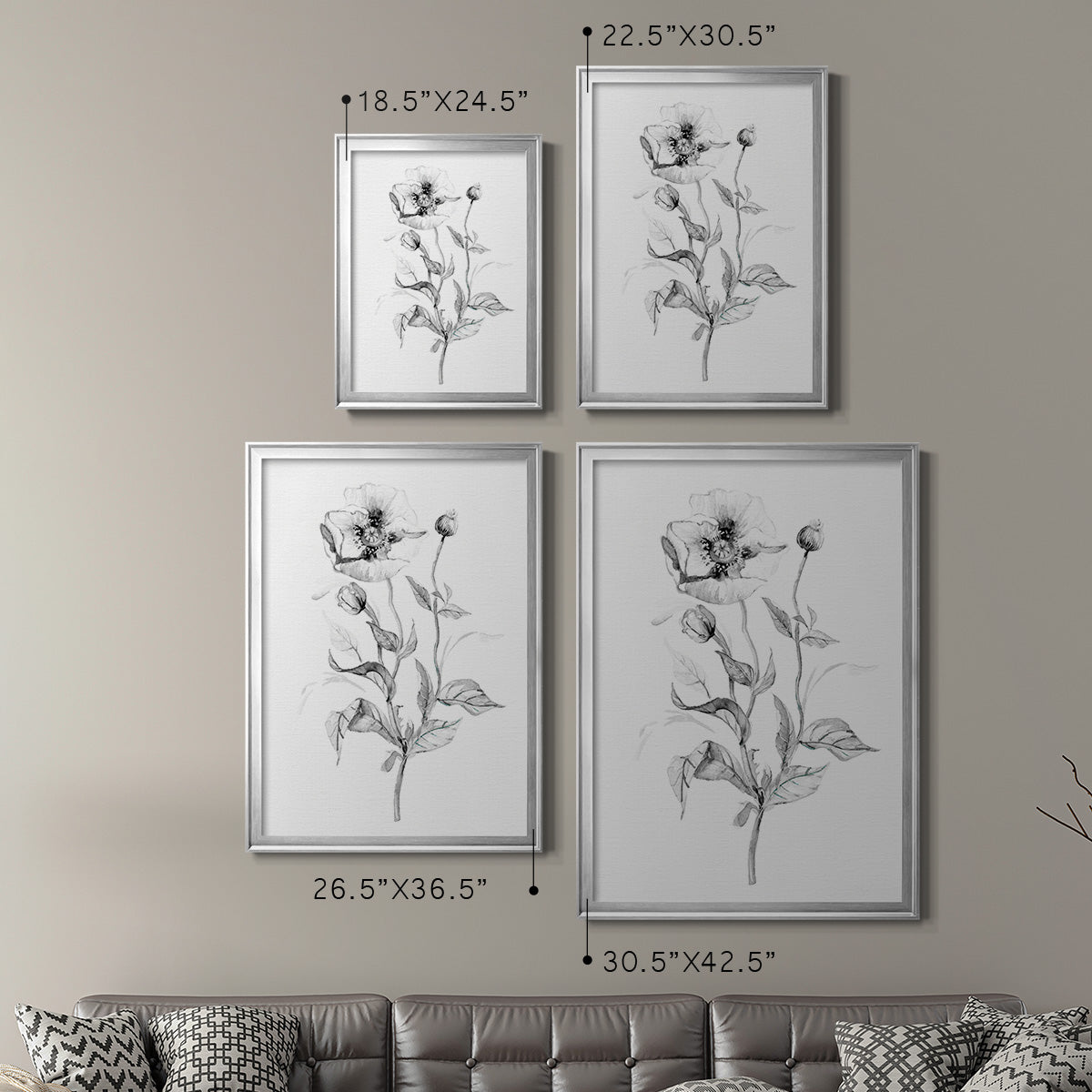 Wild Poppy Sketch - Modern Framed Canvas Print