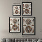 Spiral Shell Formation III - Modern Framed Canvas Print