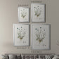 Bellflower Study - Modern Framed Canvas Print