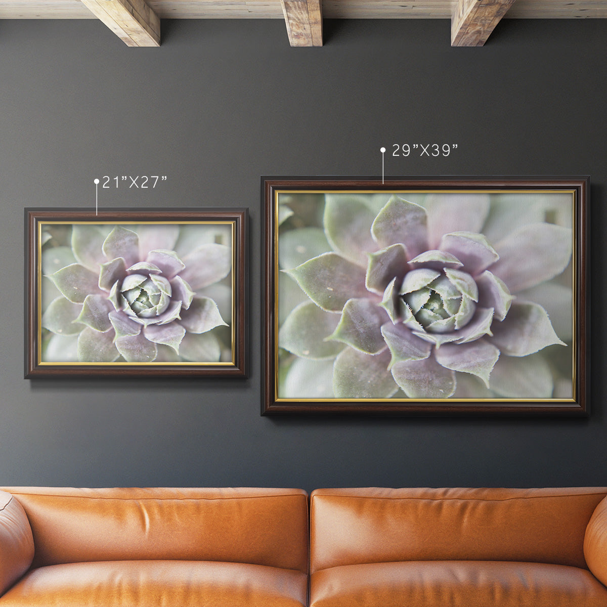 Succulent Glow II - Ornate Framed Canvas Print