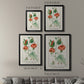 Turpin Tropical Botanicals IV - Modern Framed Canvas Print