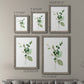 Sprigs in Green I   - Premium Framed Canvas 2 Piece Set - Ready to Hang