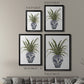 Fern House II - Modern Framed Canvas Print
