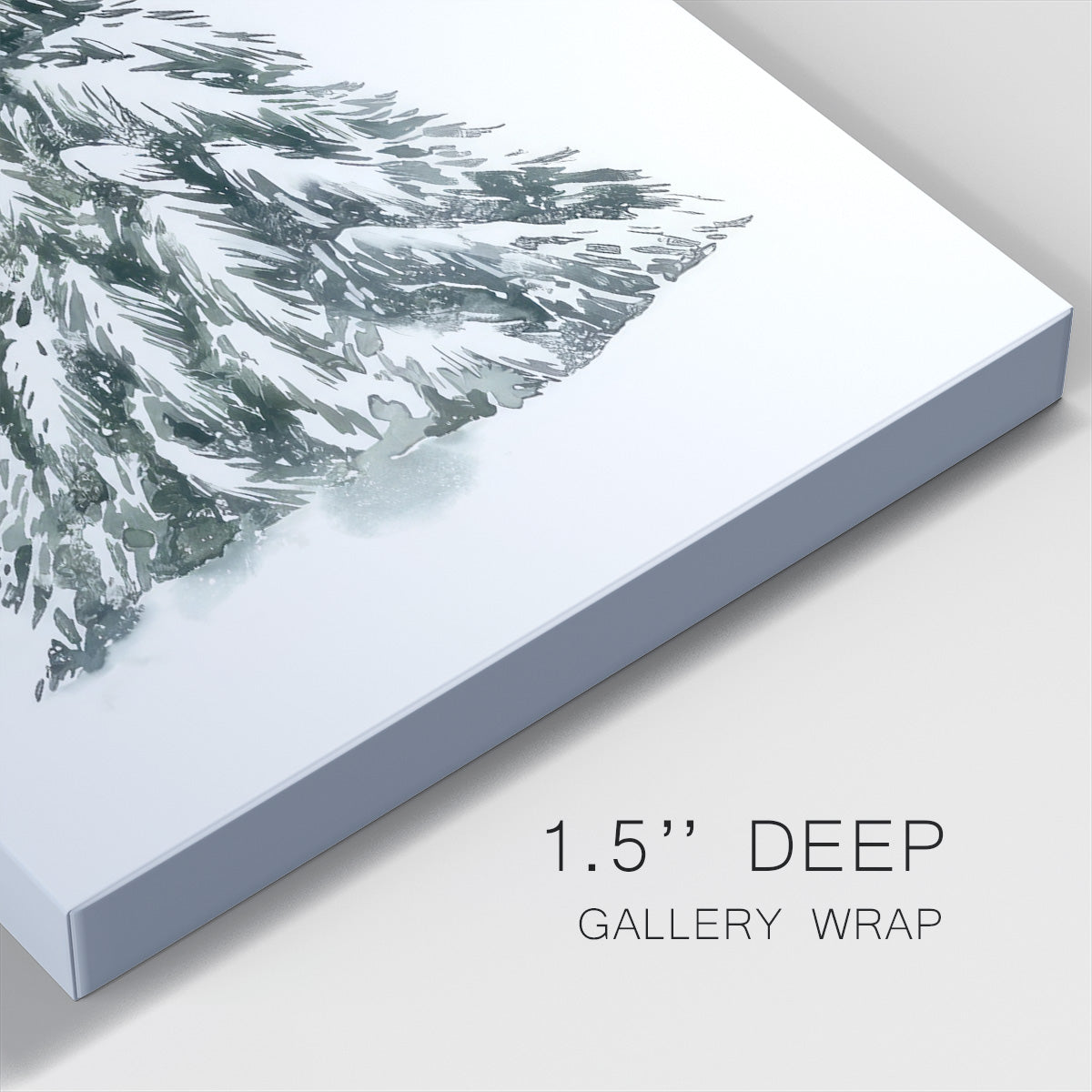 Blue Spruce I - Gallery Wrapped Canvas