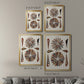Spiral Shell Formation III - Modern Framed Canvas Print