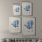 Blue Marine Algae IX -  Framed Canvas Print