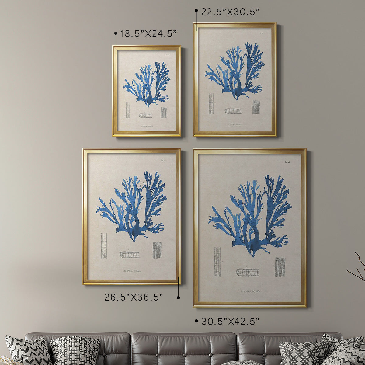 Blue Marine Algae IX -  Framed Canvas Print