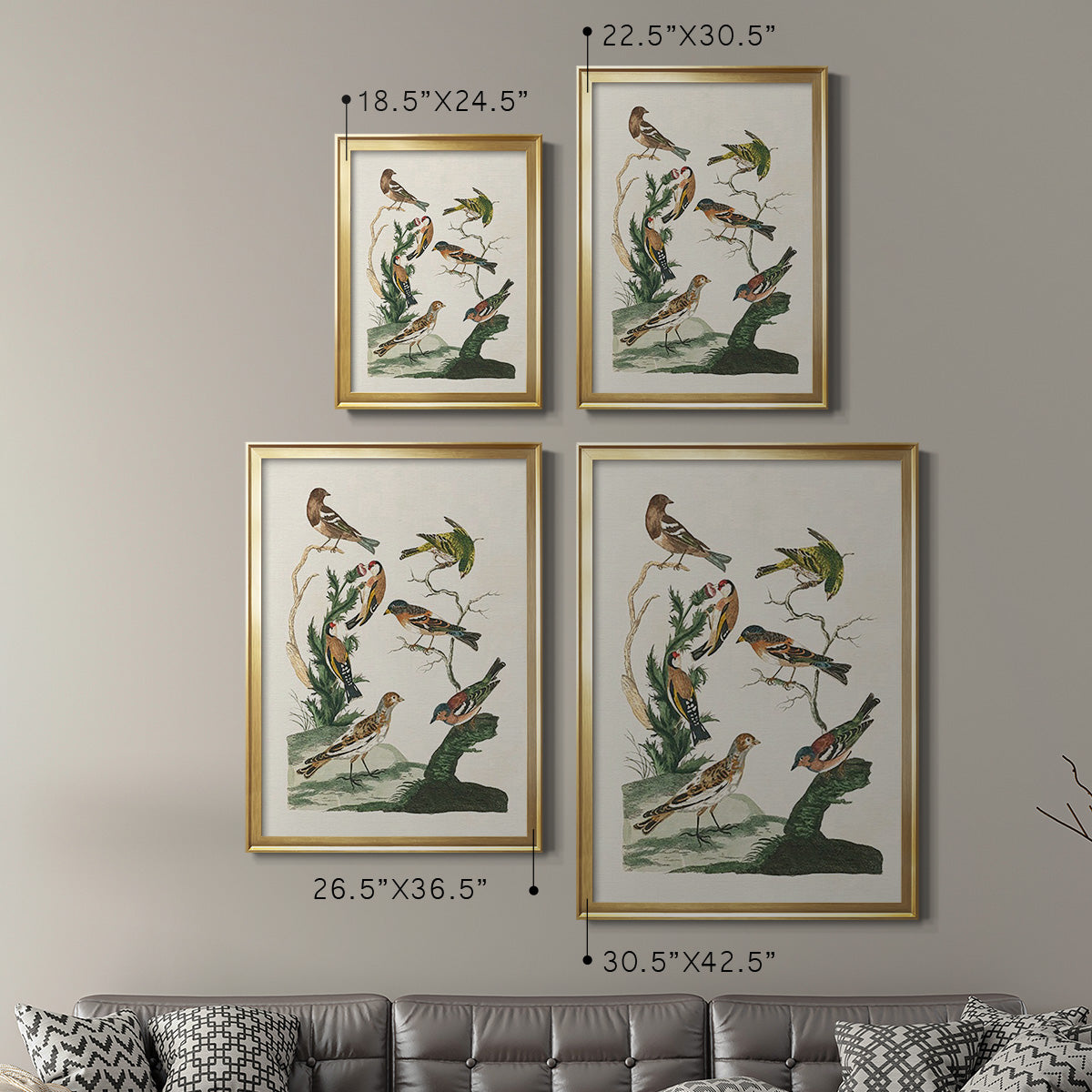 Antique Birds in Nature I - Modern Framed Canvas Print