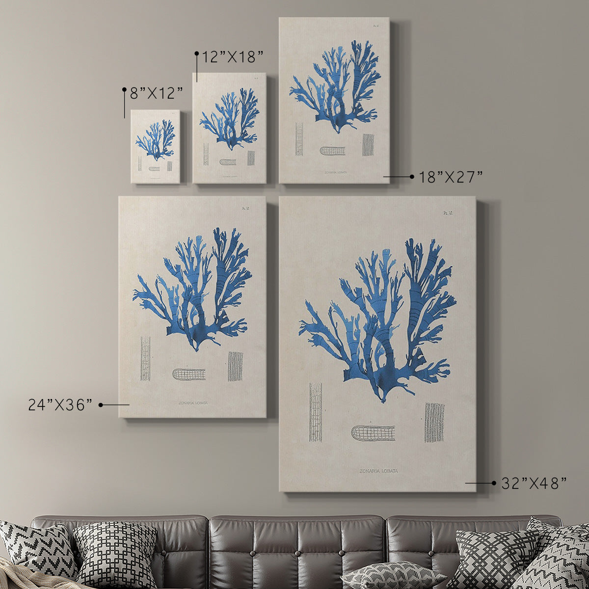 Blue Marine Algae IX - Canvas Art Print