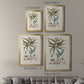 Botanical Society Ferns VIII - Modern Framed Canvas Print