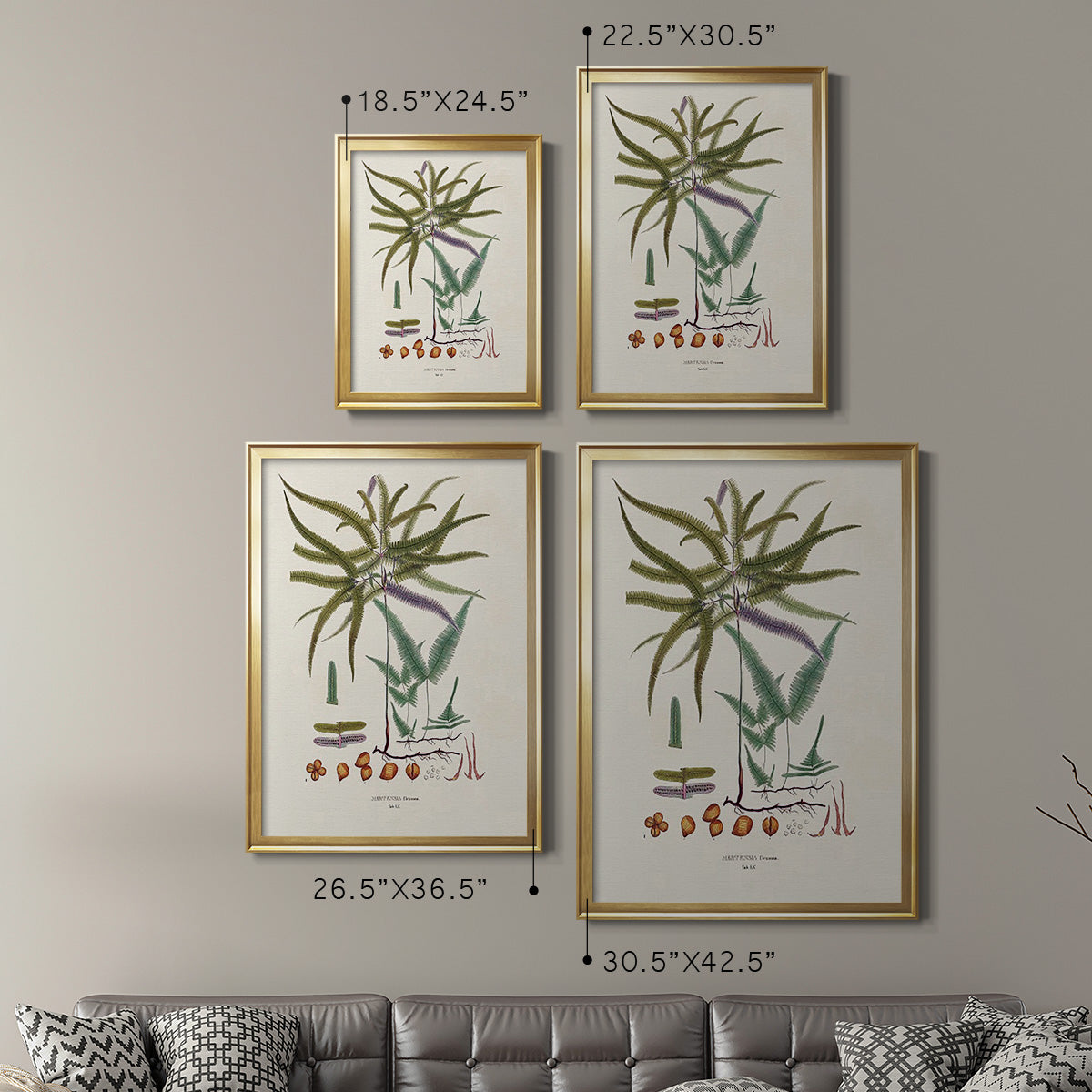 Botanical Society Ferns VIII - Modern Framed Canvas Print