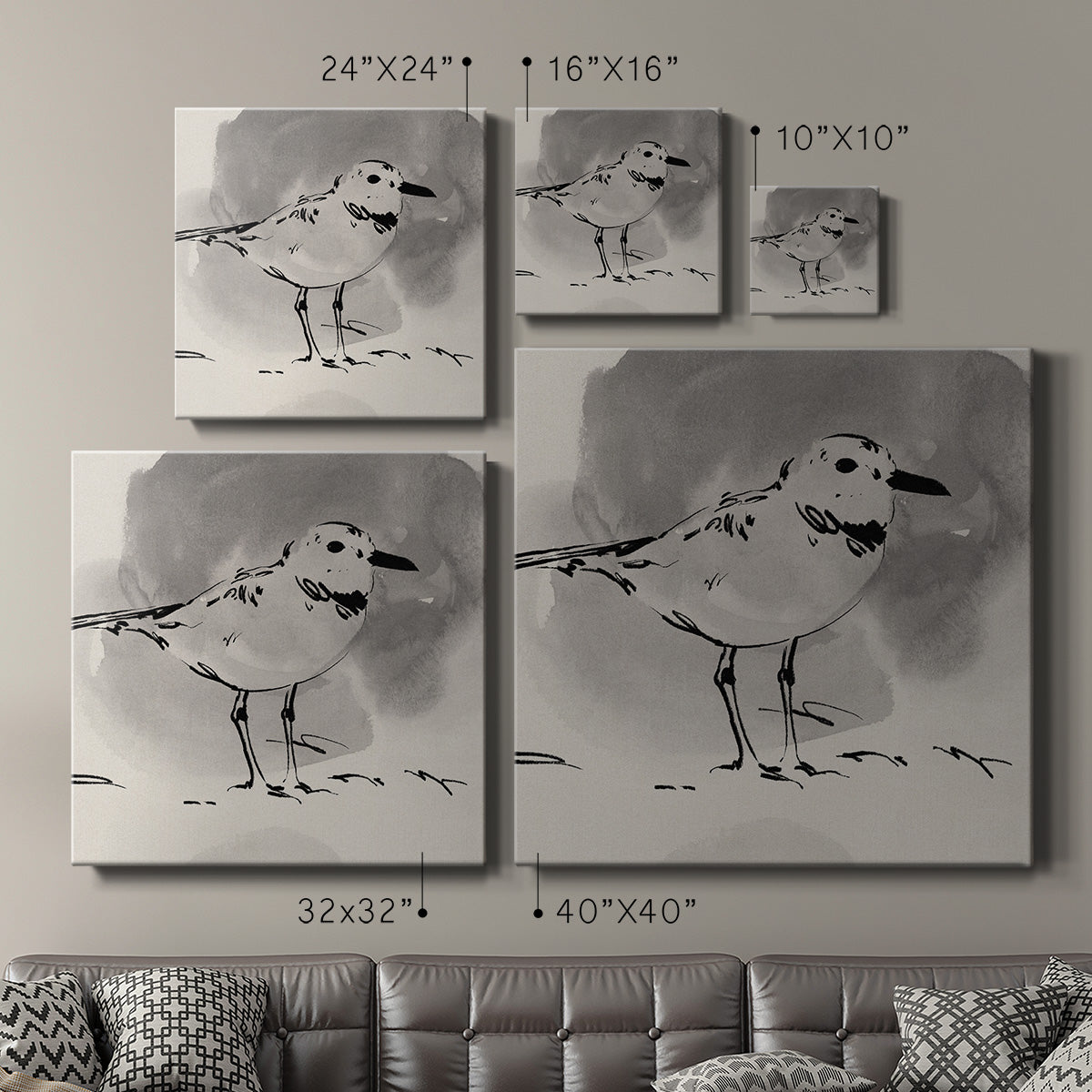 Inky Plover III - Canvas Art Print