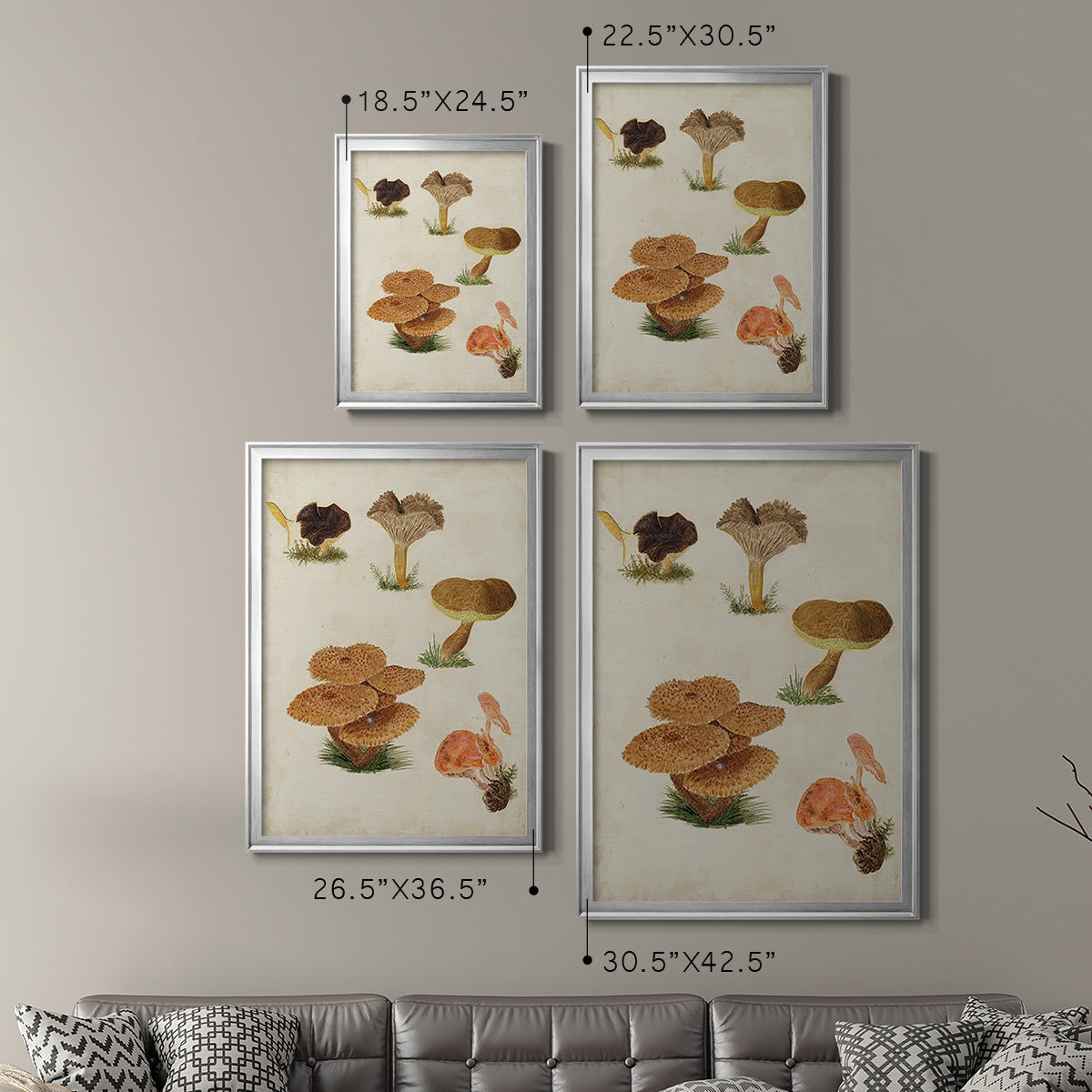 Mushroom Species V - Modern Framed Canvas Print