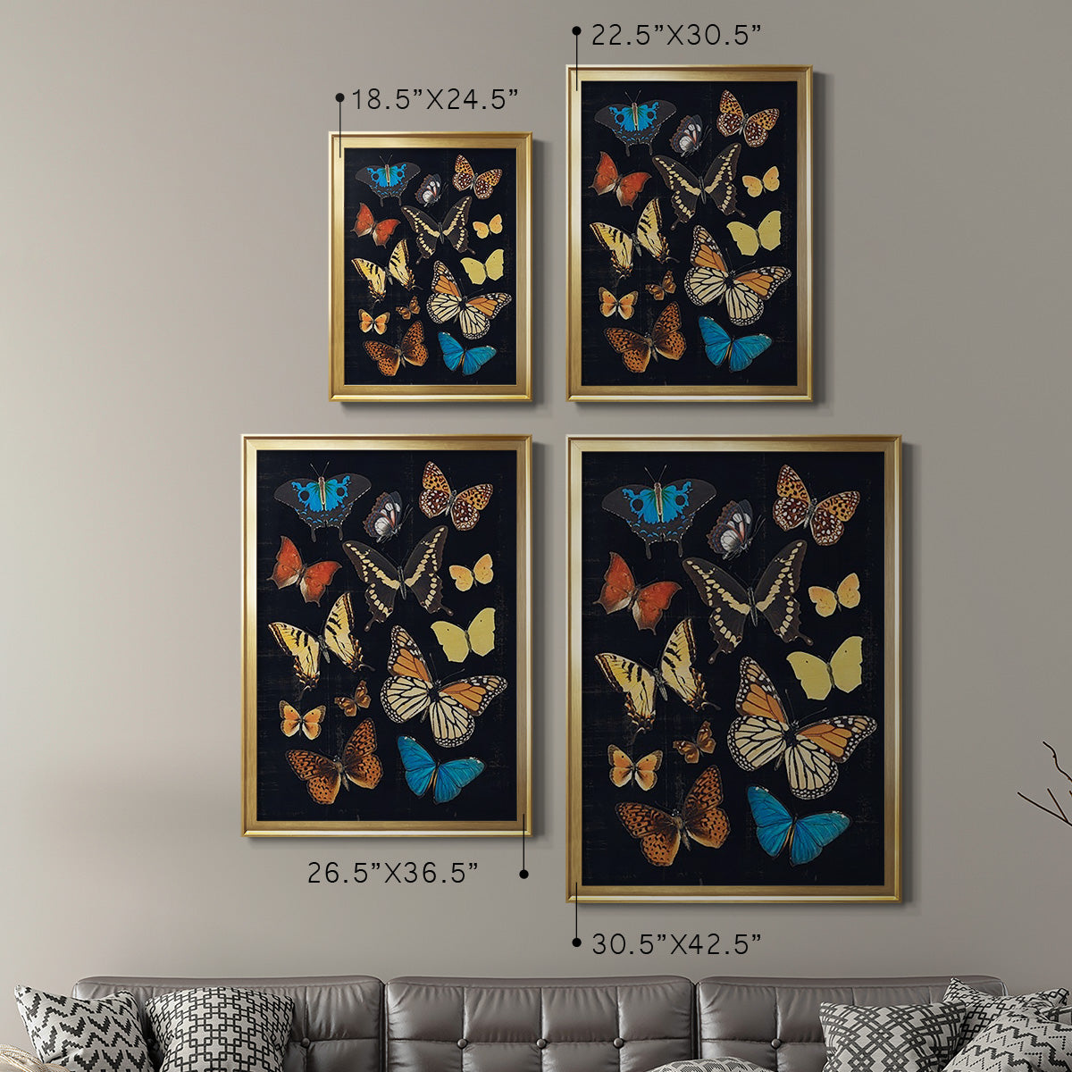 Collected Flutter IV - Modern Framed Canvas Print