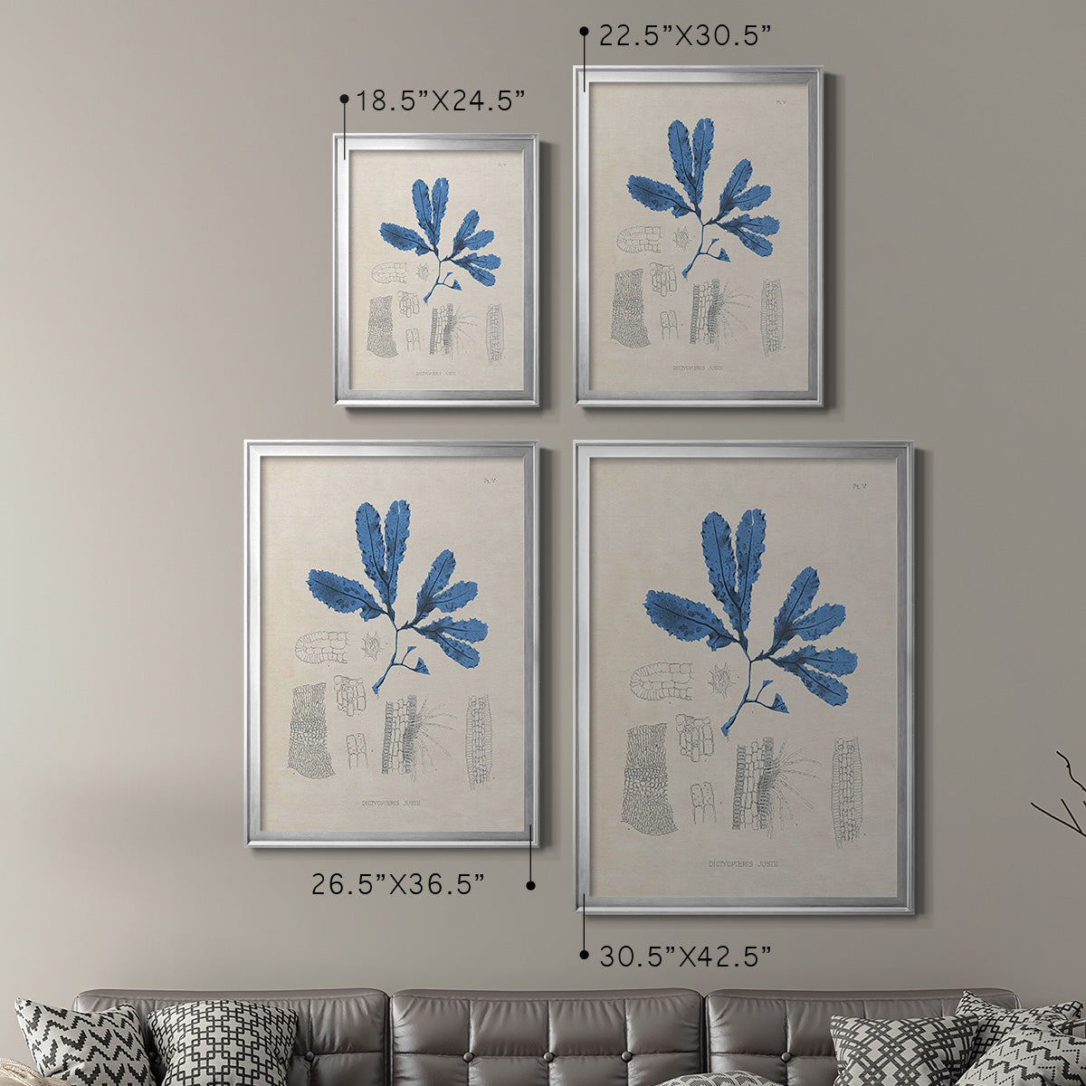 Blue Marine Algae VII - Modern Framed Canvas Print