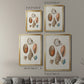 Knorr Shells & Coral I - Modern Framed Canvas Print