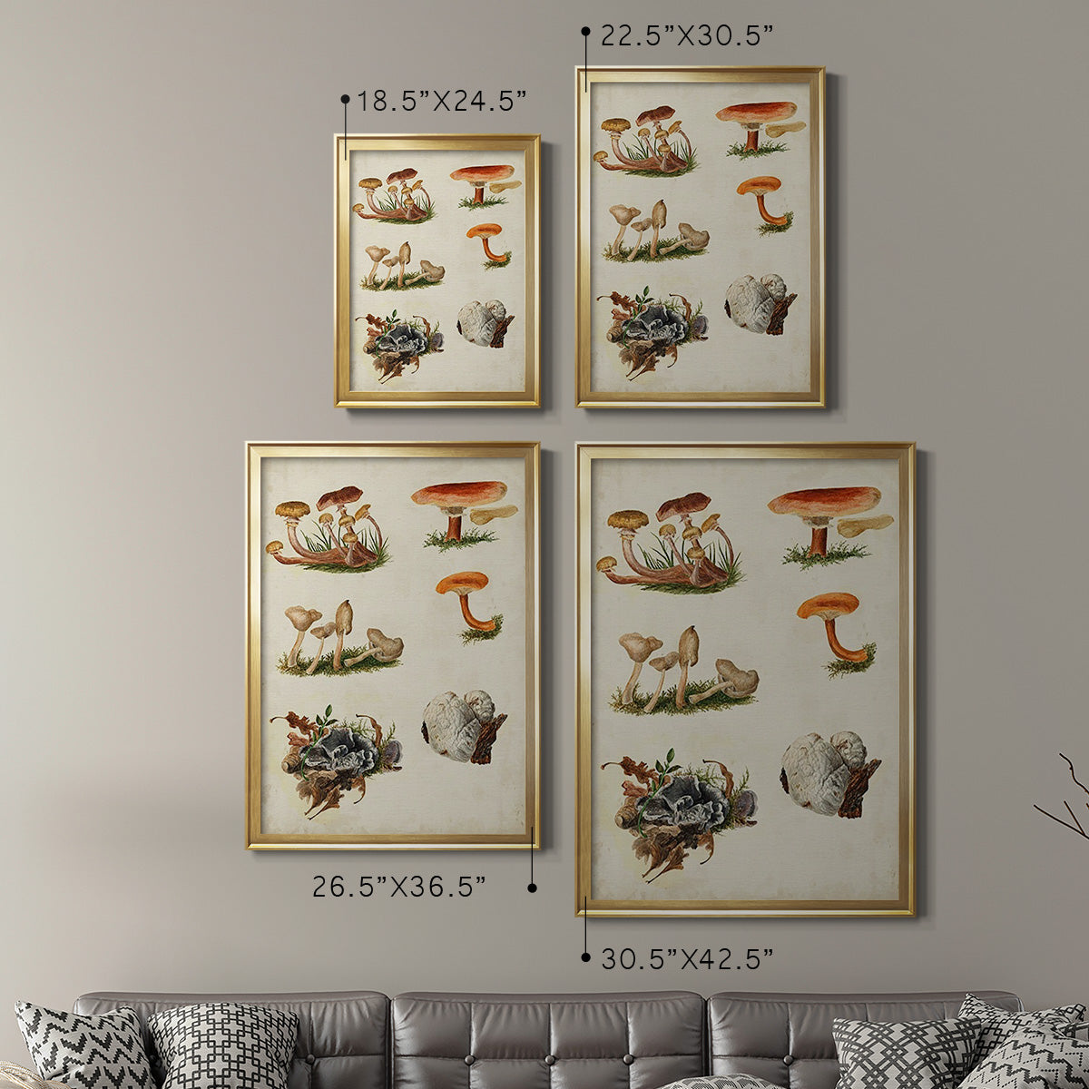 Mushroom Species X - Modern Framed Canvas Print