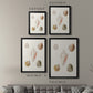 Pastel Knorr Shells IX - Modern Framed Canvas Print