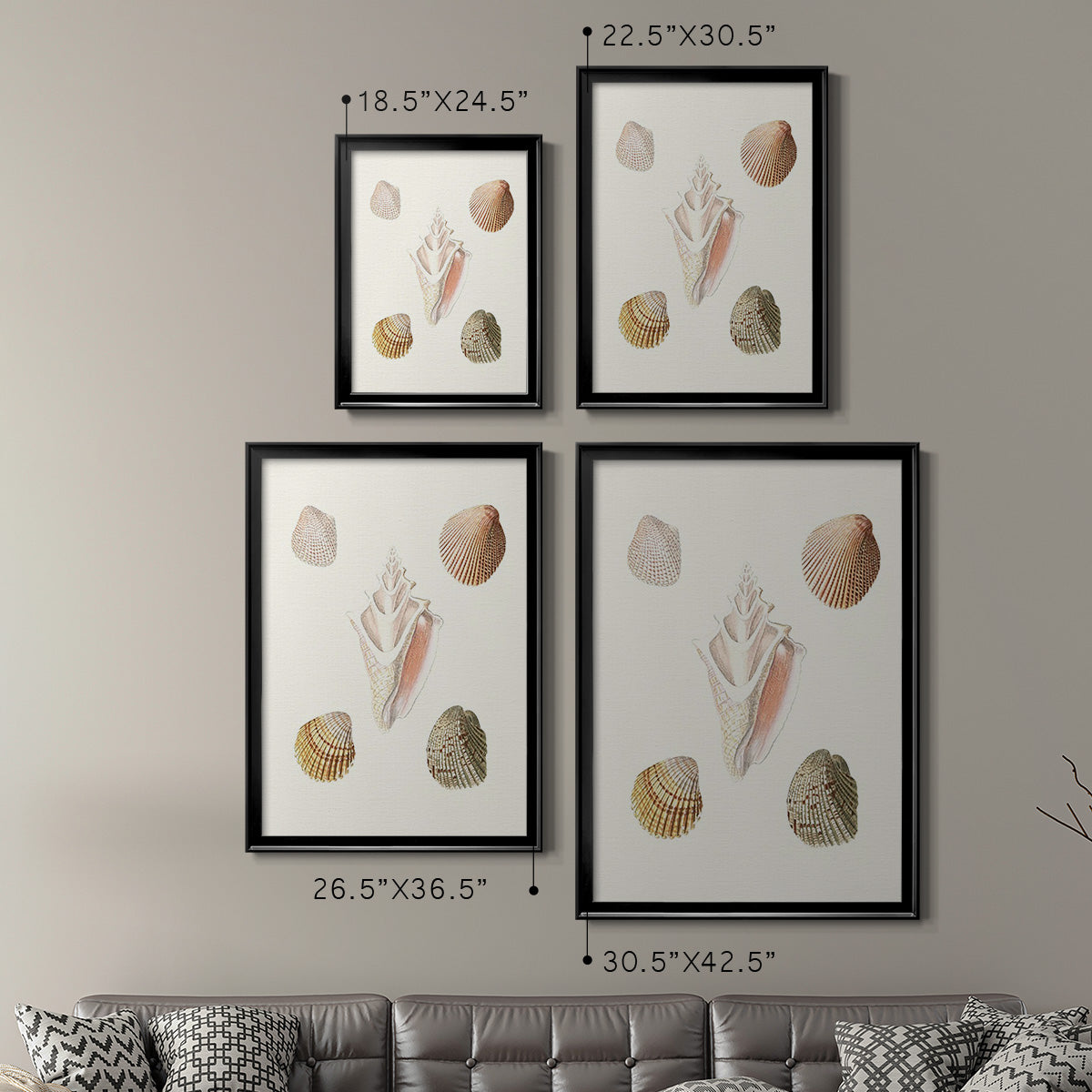 Pastel Knorr Shells IX - Modern Framed Canvas Print