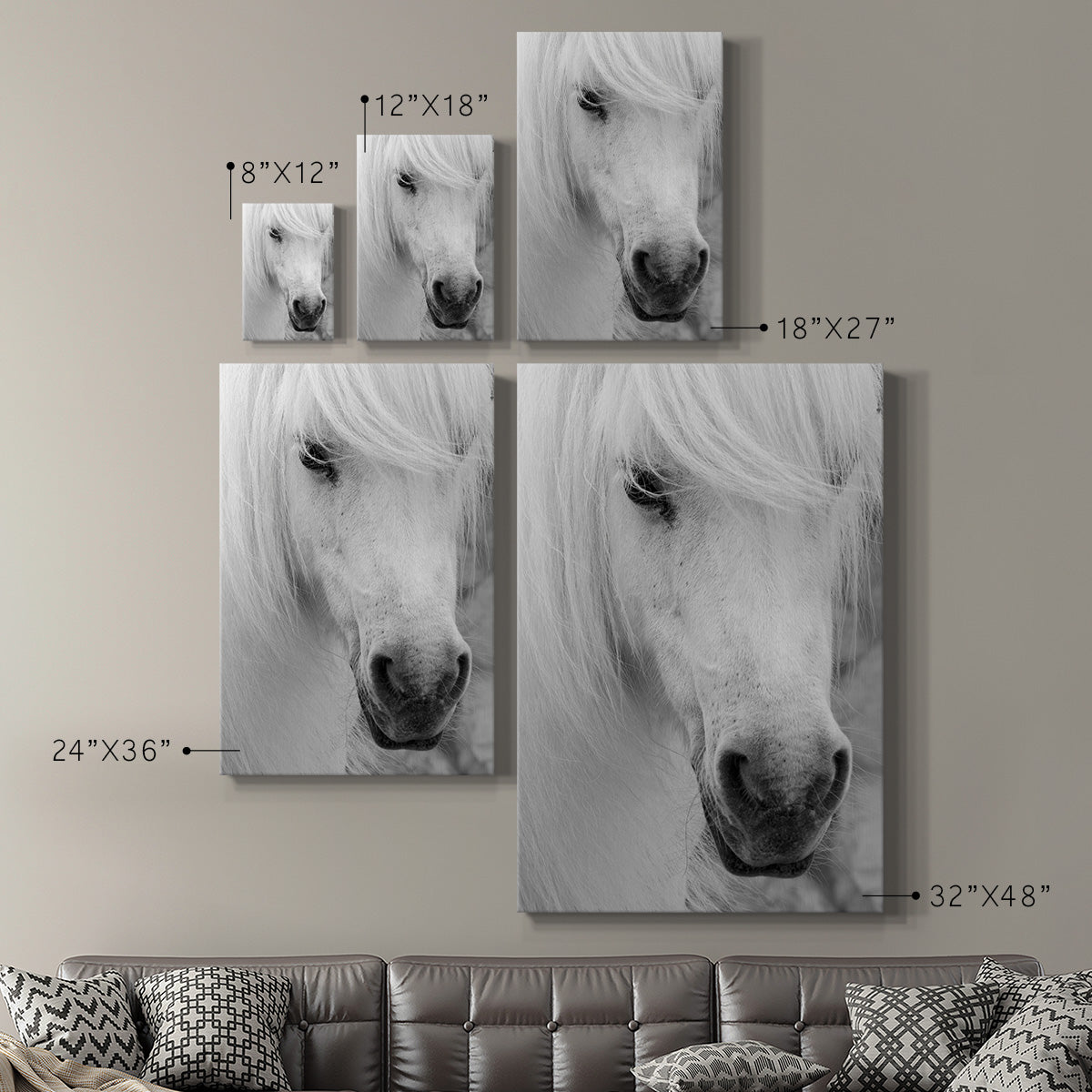 Island Pony I - Canvas Art Print