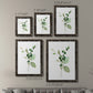 Sprigs in Green I   - Premium Framed Canvas 2 Piece Set - Ready to Hang