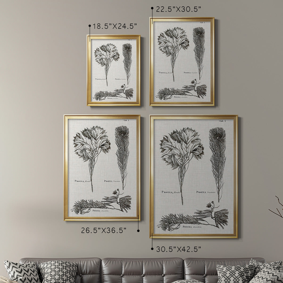 Black & White Protea on Linen I - Modern Framed Canvas Print