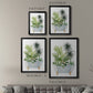 Plant Bath II - Modern Framed Canvas Print