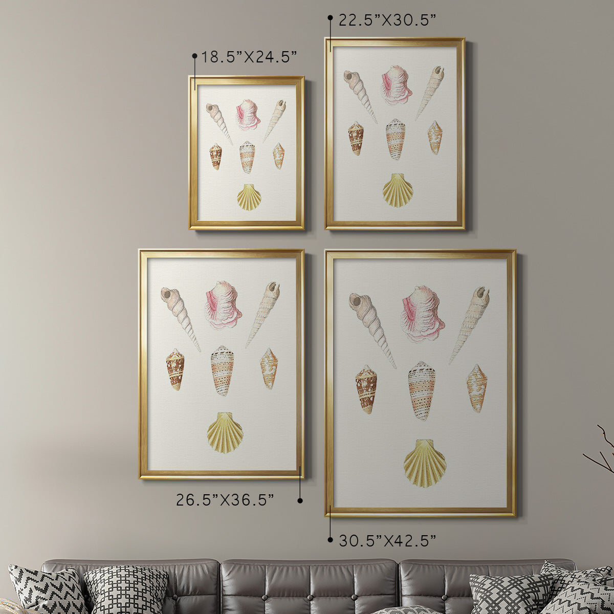 Pastel Knorr Shells I - Modern Framed Canvas Print