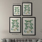 Buchoz Tropicals VII - Modern Framed Canvas Print