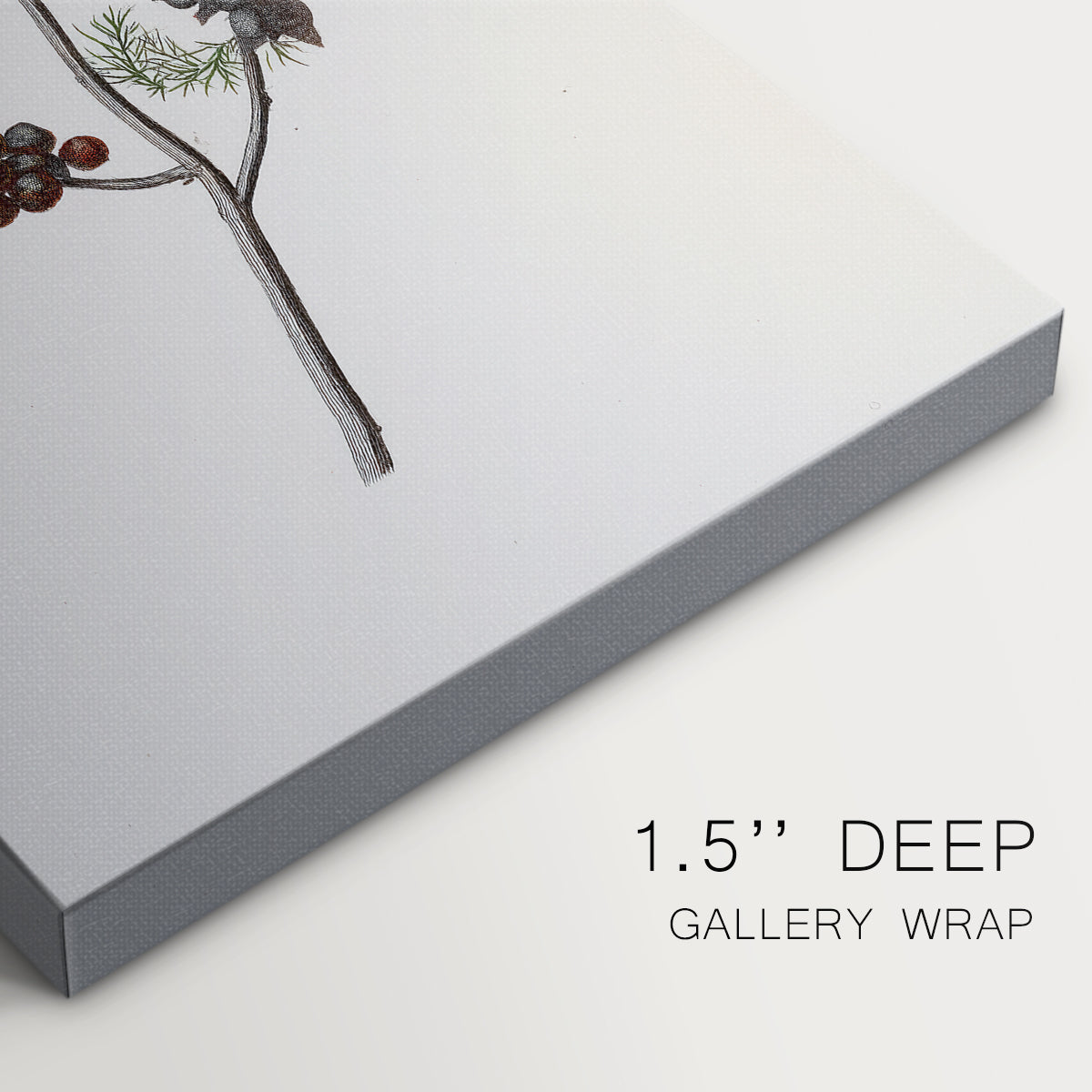 Silver Nativity Promise - Canvas Art Print