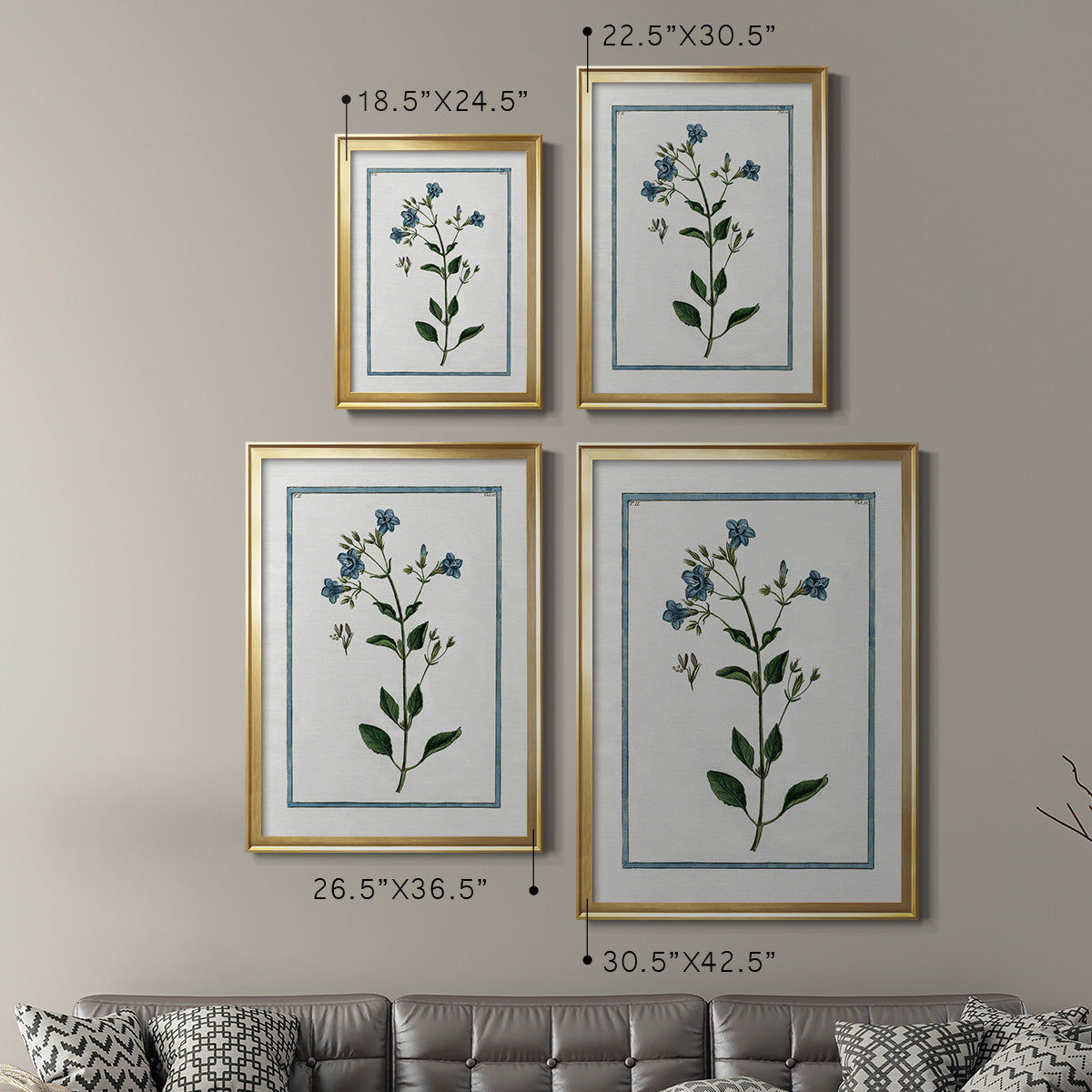 Shabby Chic Botanical II - Modern Framed Canvas Print