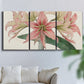 Three-panel canvas wall art featuring vintage styled amaryllis floral study, displayed in a living room above a sofa.