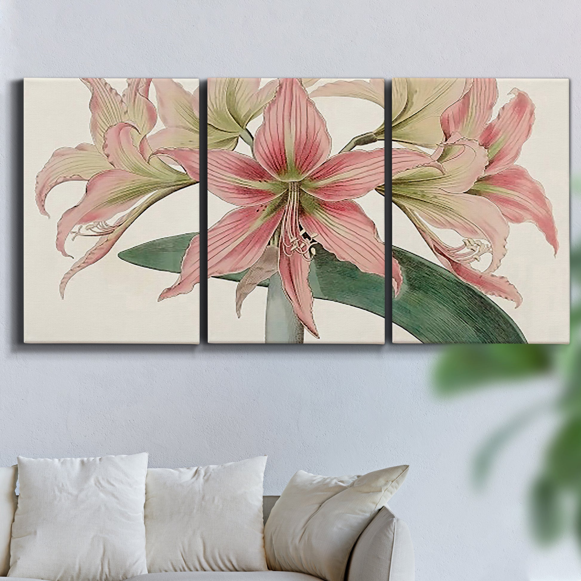 Three-panel canvas wall art featuring vintage styled amaryllis floral study, displayed in a living room above a sofa.