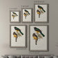 Elegant Trogons III - Premium Framed Canvas 2 Piece Set - Ready to Hang