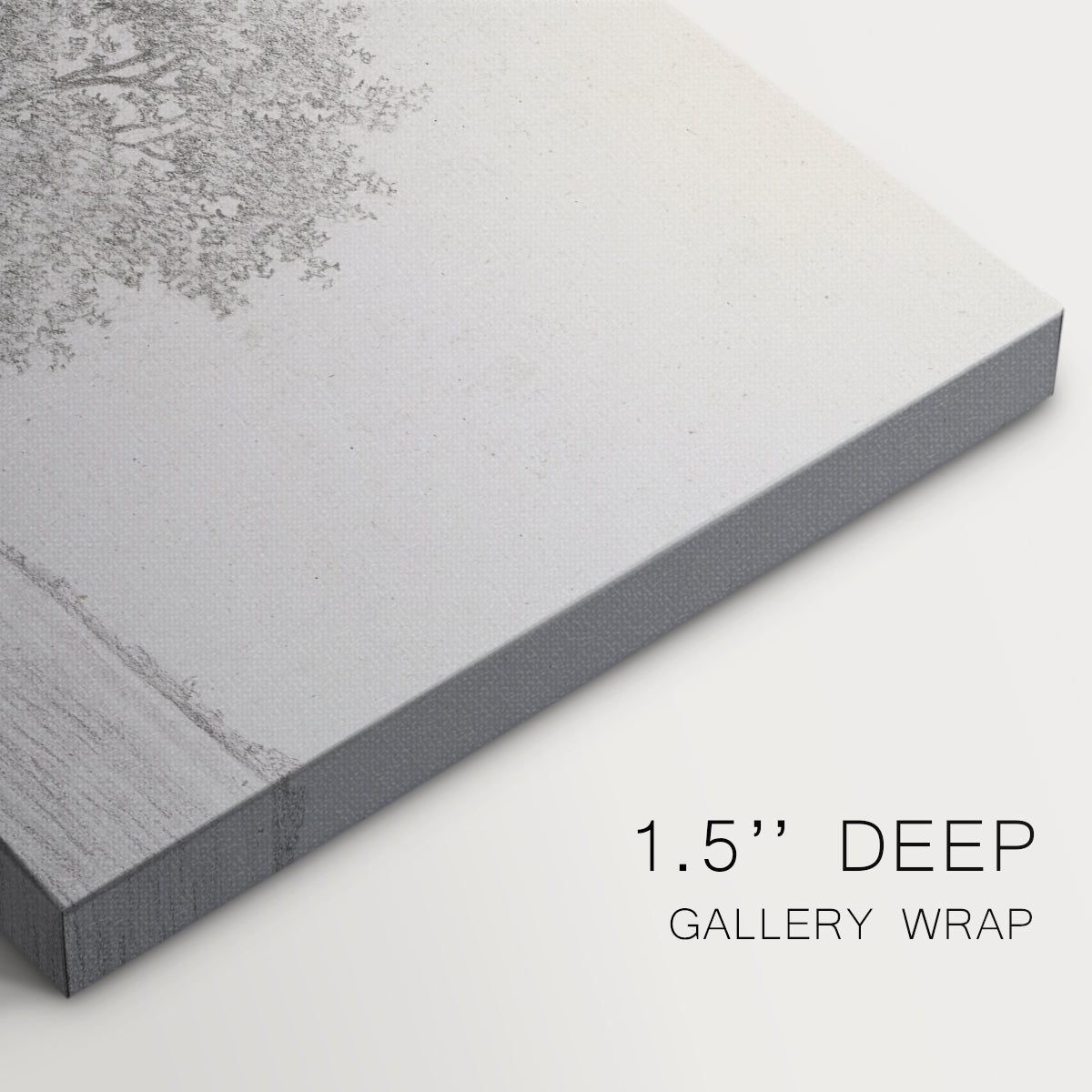 Serene riverside view with trees and a wooden dock in soft daylight setting