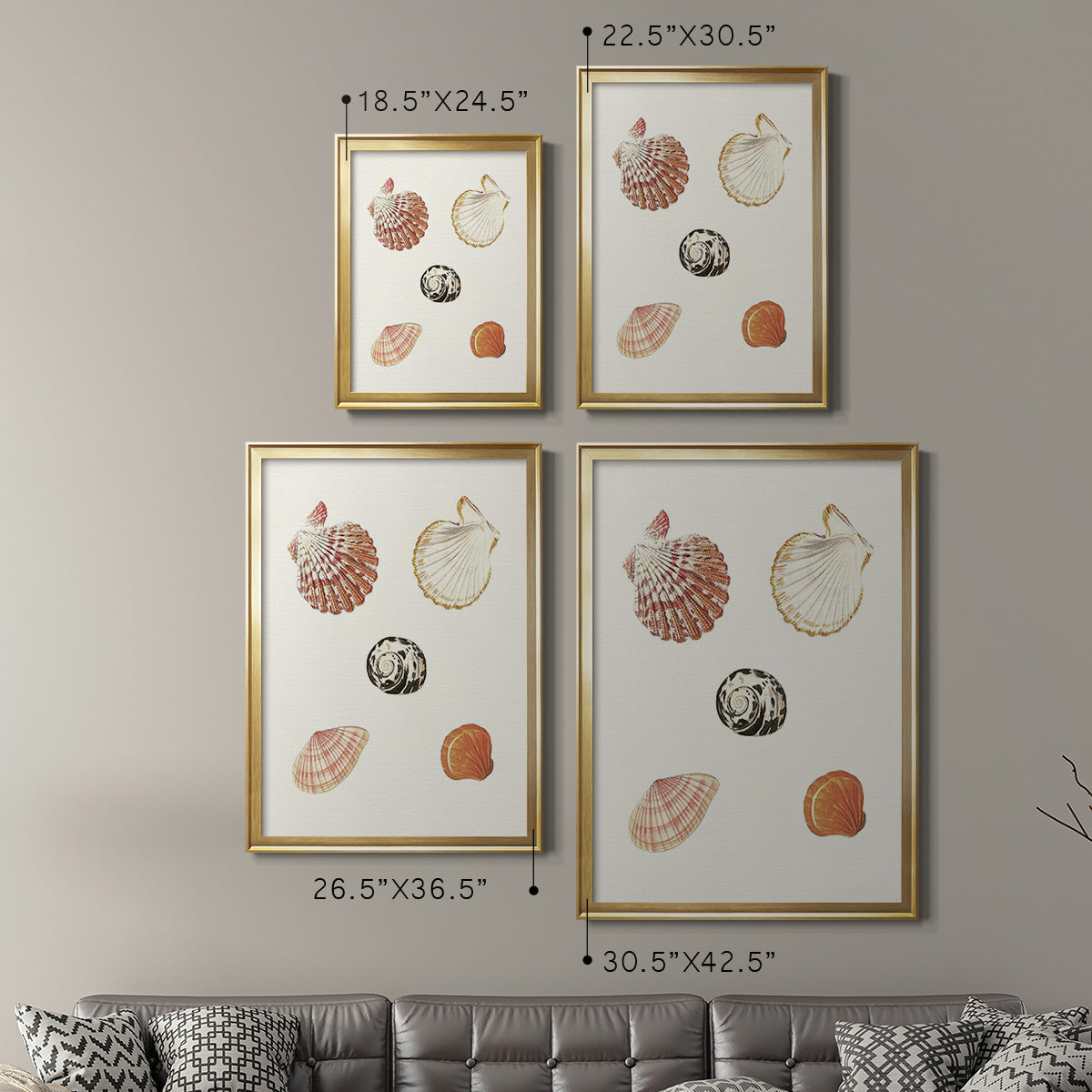 Pastel Knorr Shells VIII - Modern Framed Canvas Print