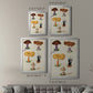Mushroom Species VII - Modern Framed Canvas Print