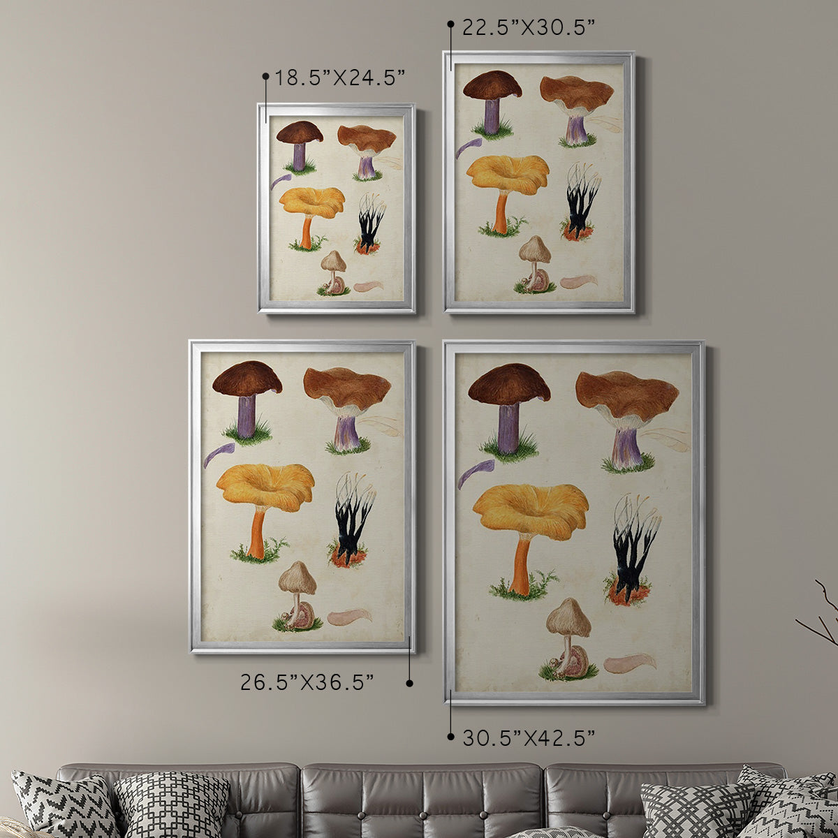 Mushroom Species VII - Modern Framed Canvas Print