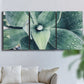 Three-panel canvas wall art featuring green succulent plant photograph, displayed in a living room above a sofa.