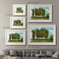Tall Trees - Barnwood Framed Art Print