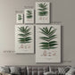 Botanical Society Ferns XII - Canvas Art Print