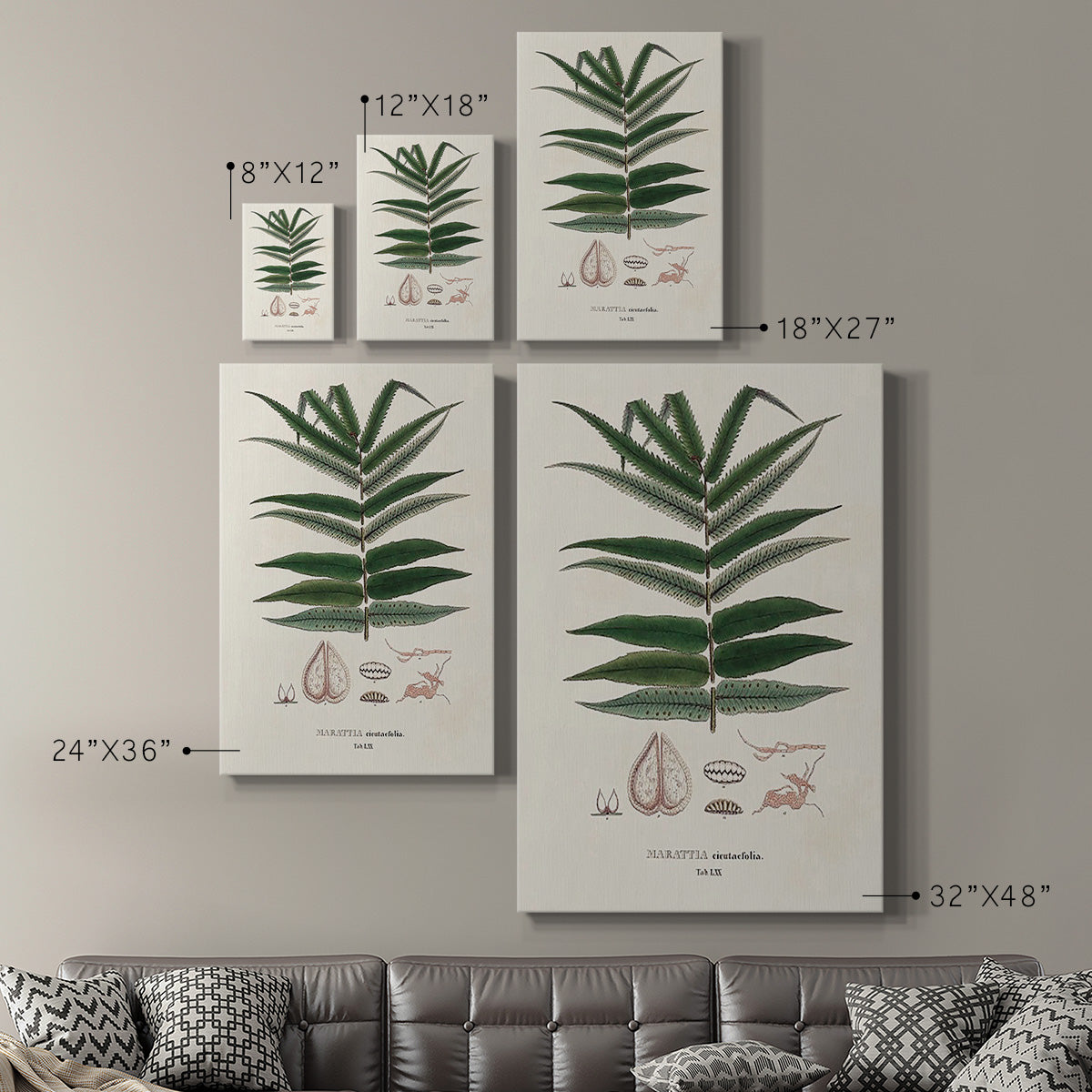 Botanical Society Ferns XII - Canvas Art Print