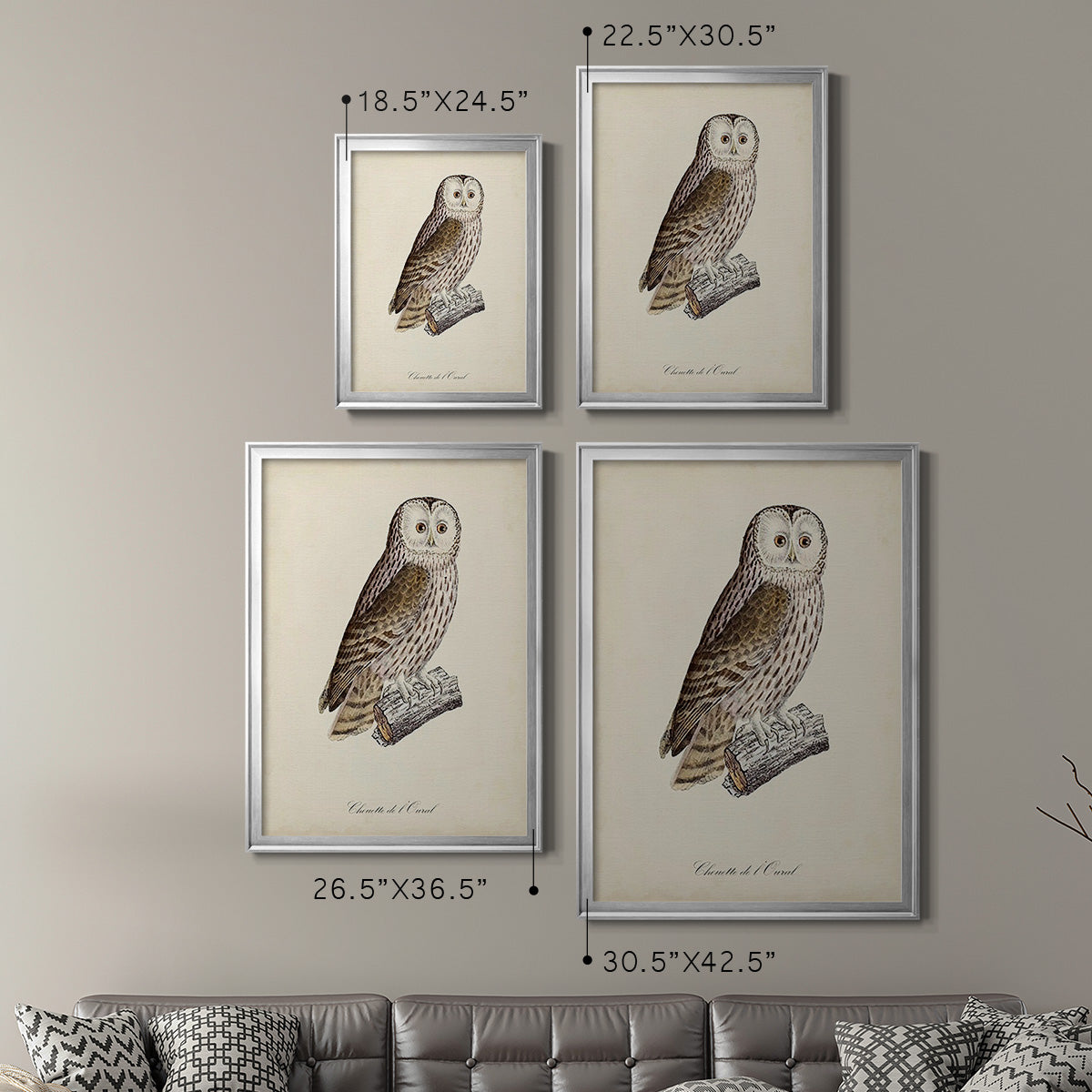 French Owls V - Modern Framed Canvas Print